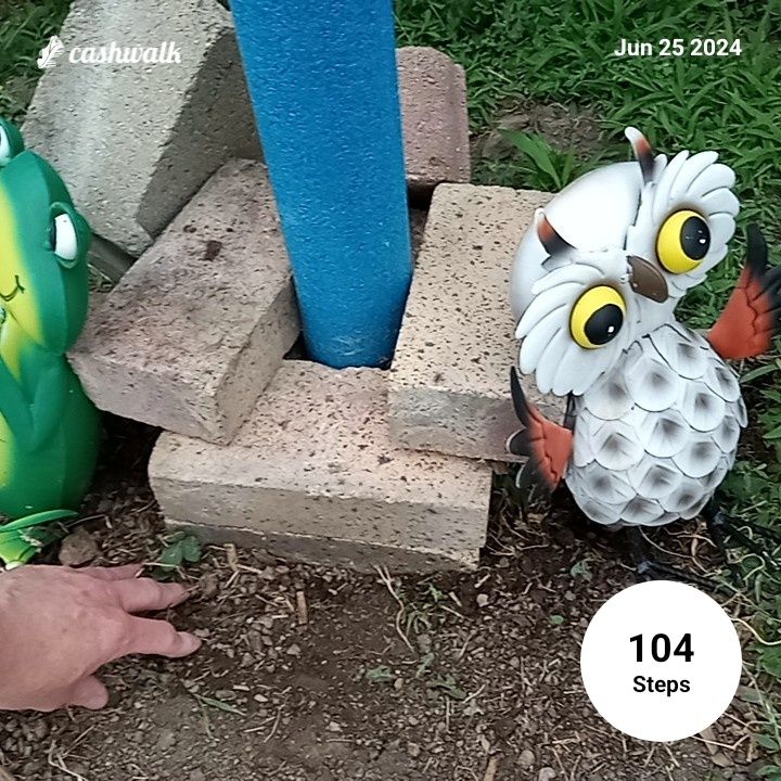 CashWalk_share_capture_20240625_f19c2c7f-e8eb-4a7b-8ac4-dc8ef34e