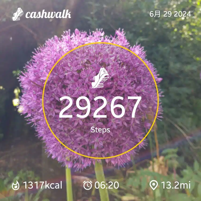 CashWalk_share_capture_20240629_b2635643-95ed-461b-bf4f-d44cf36c