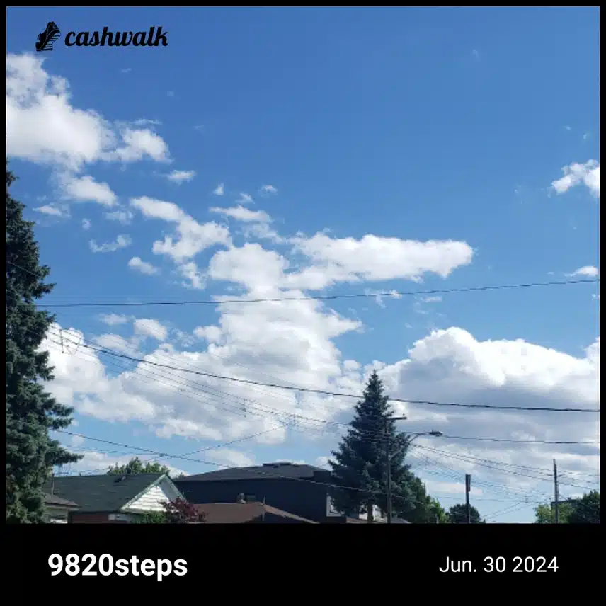 CashWalk_share_capture_20240630_ebba017b-597c-4ac1-926b-80b9055a