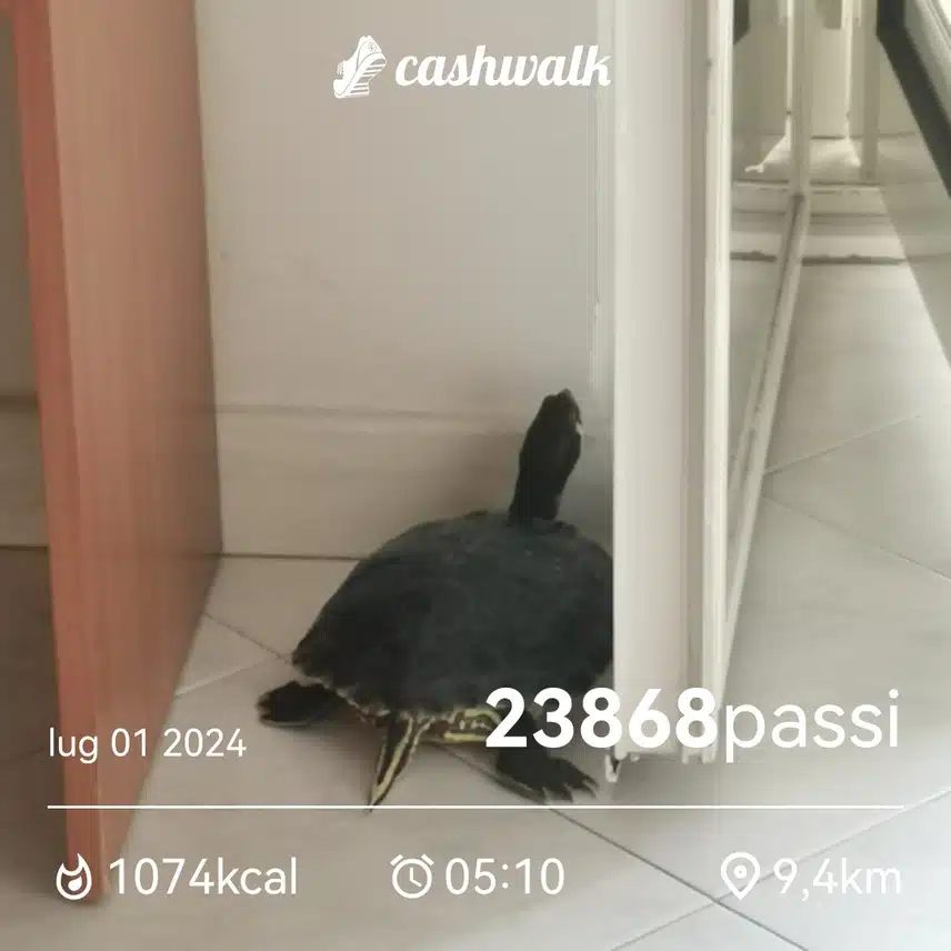 CashWalk_share_capture_20240701_42a5eb90-f213-4f3b-ae3f-31488ad1