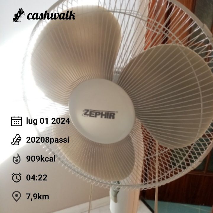 CashWalk_share_capture_20240701_c74a7780-f1f6-466b-a9fd-5592f88f