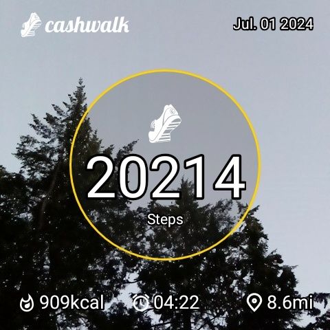 CashWalk_share_capture_20240701_e9506f98-b131-472e-a897-4f4081d6