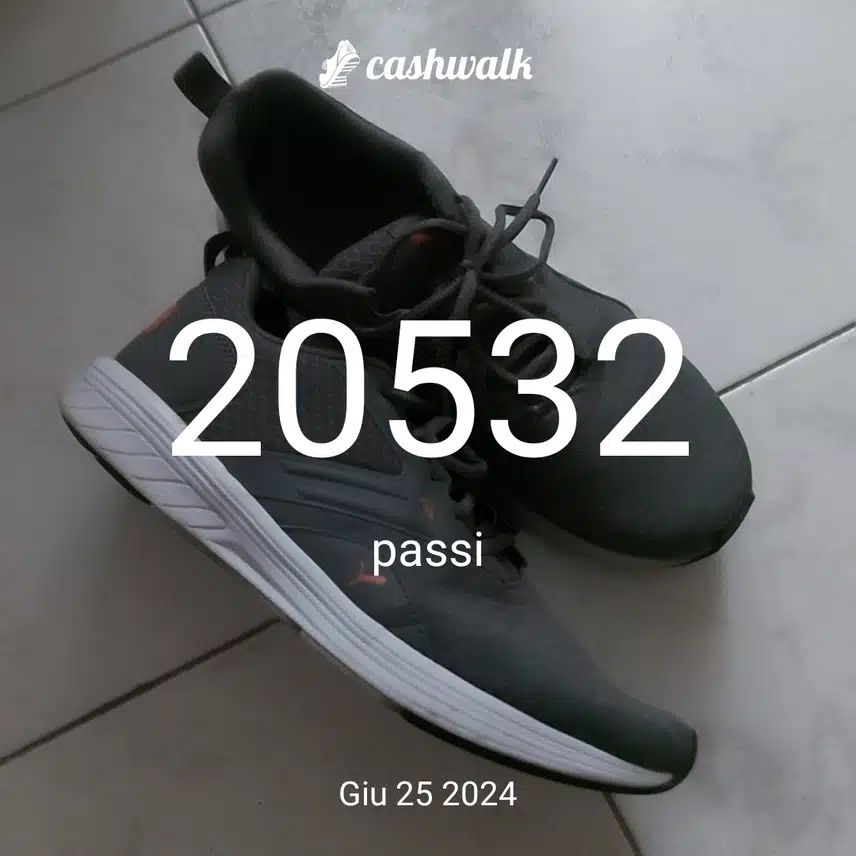 1000036811.jpg