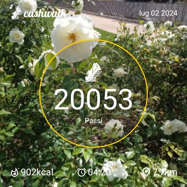 CashWalk_share_capture_20240702_46b1be3d-d91e-4ea0-8a07-4ca80981