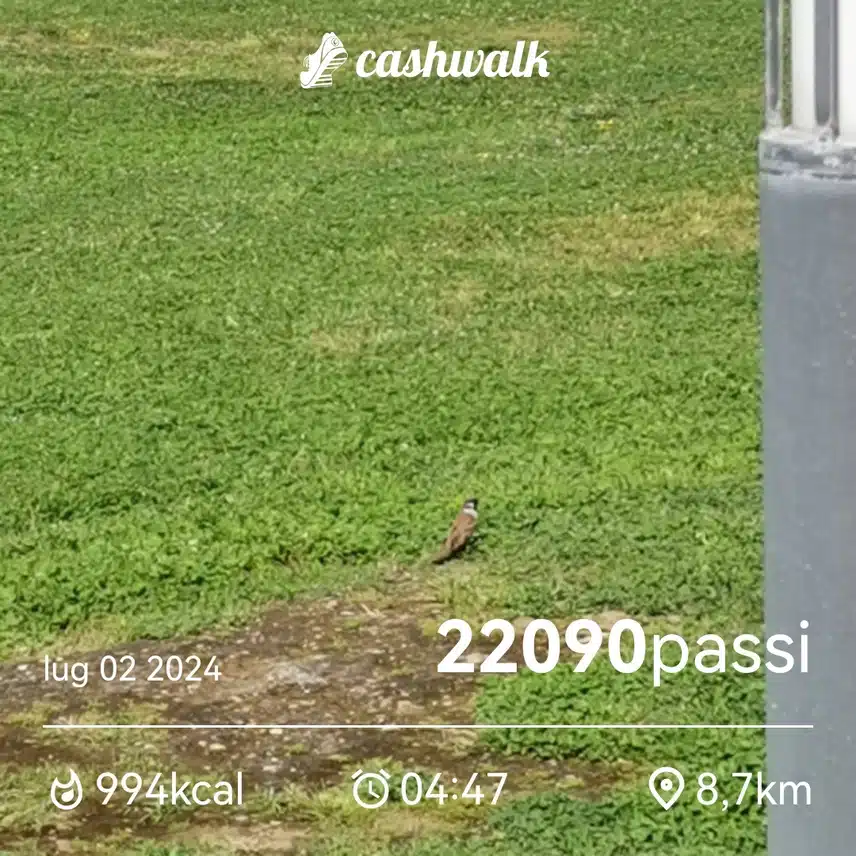 CashWalk_share_capture_20240702_88189adb-d9a8-49a4-b505-1439dcf2