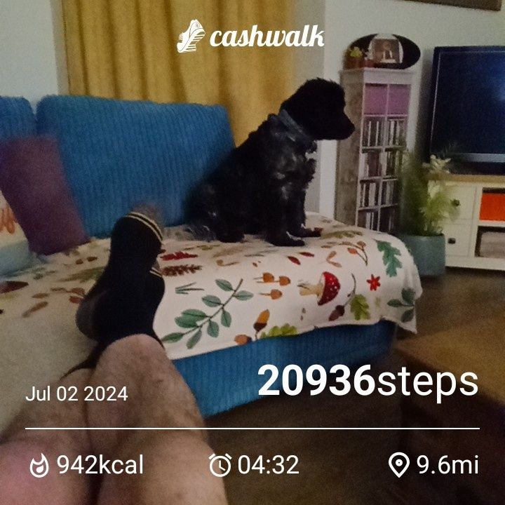CashWalk_share_capture_20240702_8ae3674b-f443-4de8-a374-4dd3b9ce