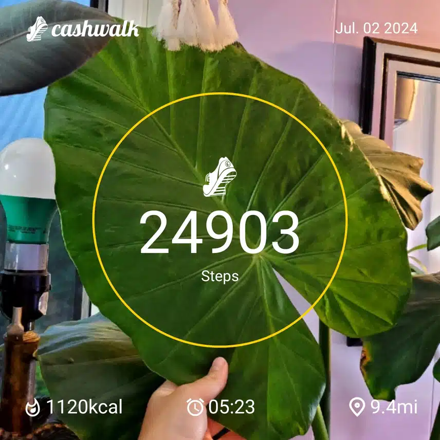 CashWalk_share_capture_20240702_45d3f157-2187-4ac7-adc2-758de3ea