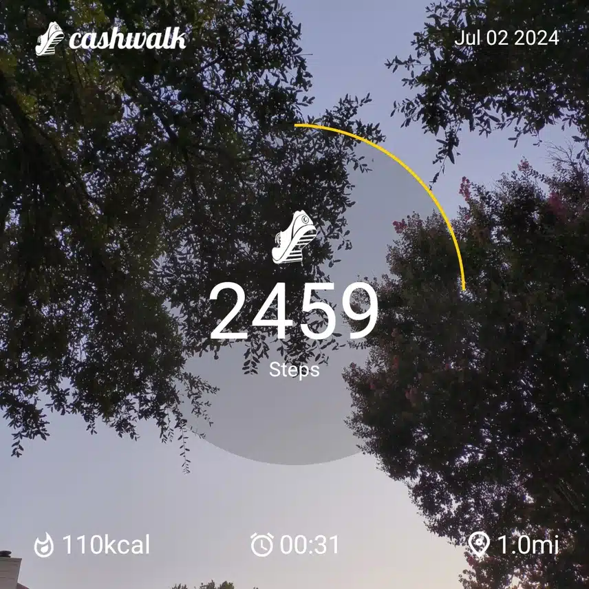 1000003381.jpg_resize