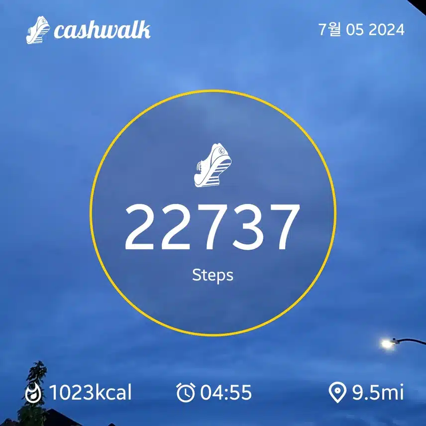 CashWalk_share_capture_20240705_3ee26071-61df-4781-91c0-af7e7091