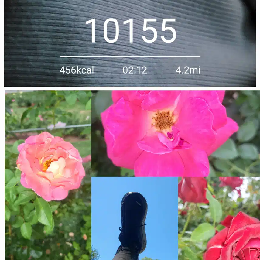 1000007257.jpg
