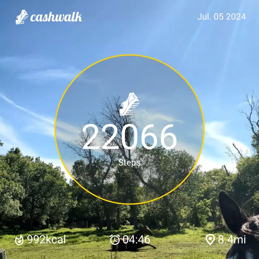 CashWalk_share_capture_20240705_184abbf1-4daa-479e-a26c-42193abc