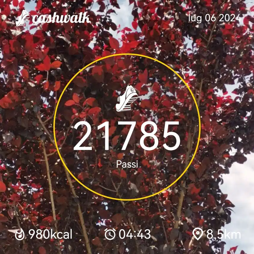 CashWalk_share_capture_20240706_a84f86d9-79e0-42ba-ac66-f3d3e794