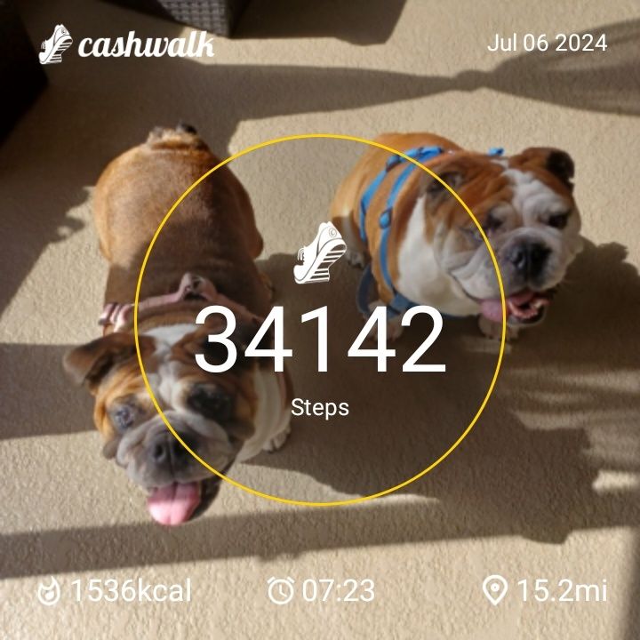 CashWalk_share_capture_20240706_bc79631d-65a5-4694-bf98-e37dac9a