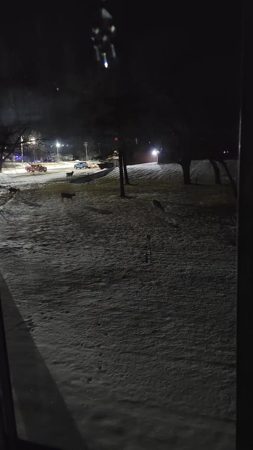 1000023103.jpg_resize