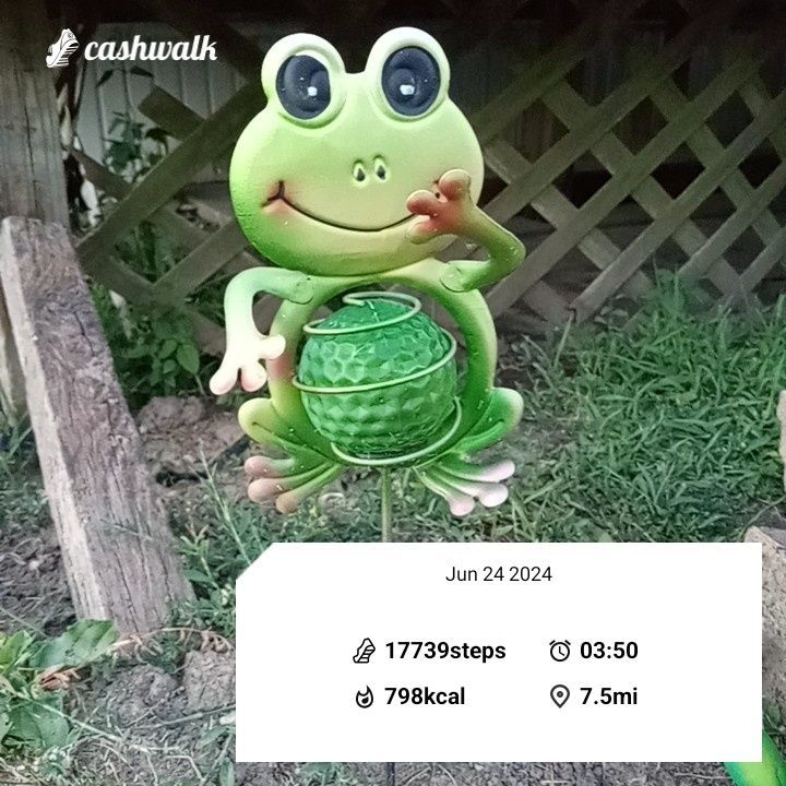 CashWalk_share_capture_20240624_0c042e9d-314a-4371-8d85-7f6bbdff