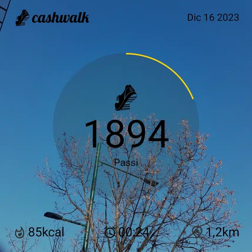 CashWalk_share_capture_20231216_7ac401b0-ad32-4027-9771-46124128