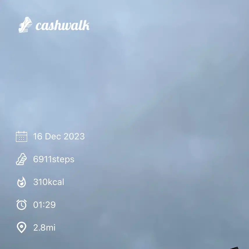 IMG_0538.jpeg_resize