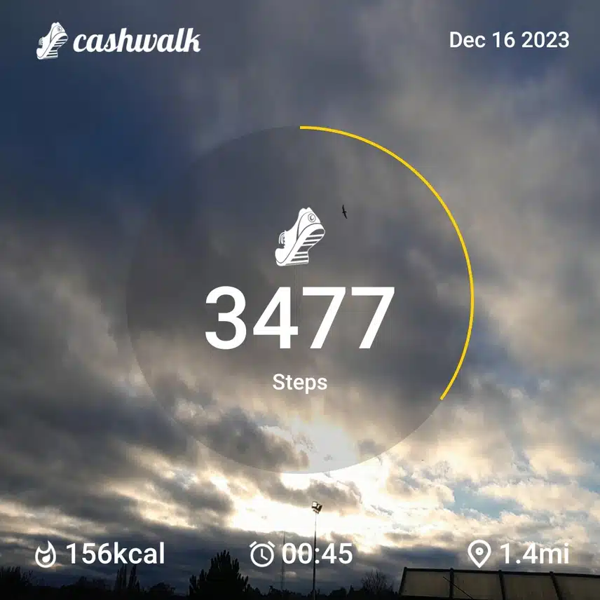 CashWalk_share_capture_20231216_910a1343-4831-42e2-92a9-5c66f42e
