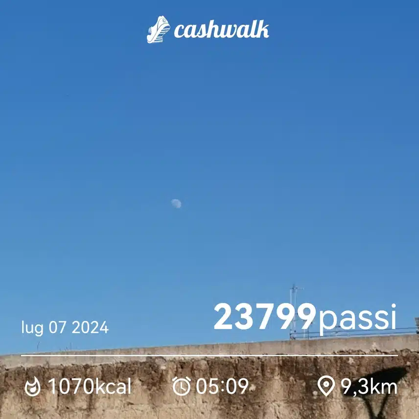 CashWalk_share_capture_20240707_5e141002-e53f-41a2-8951-f14910bb