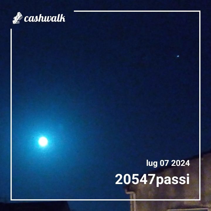 CashWalk_share_capture_20240707_8f993a5c-2d91-4e42-b183-6dc1f507