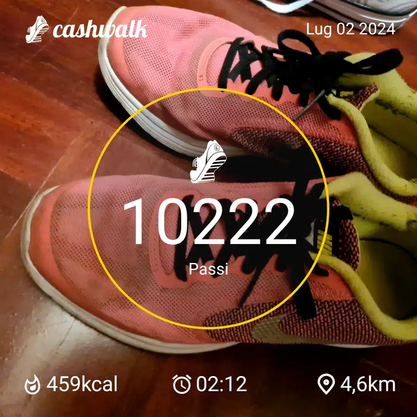1000050260.jpg