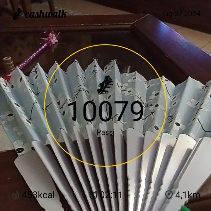 1000263767.jpg_resize