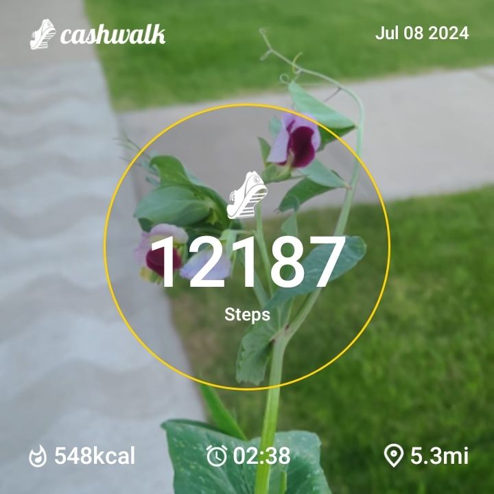 1000192838.jpg_resize