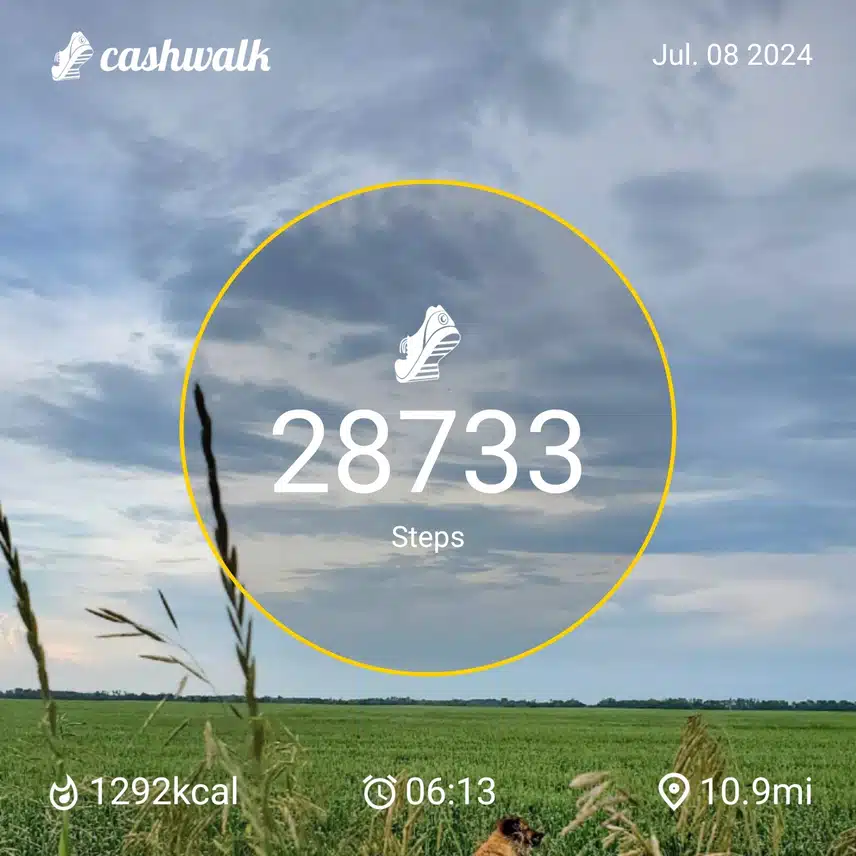 CashWalk_share_capture_20240708_453447fa-7b36-4f39-b737-17fdc0ec