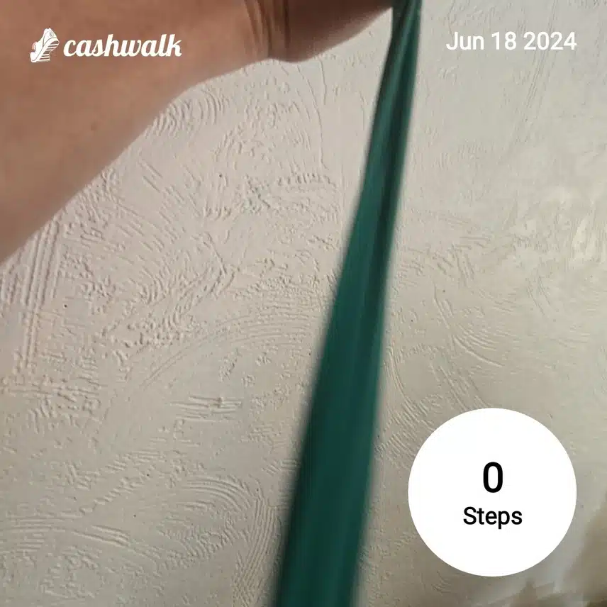 CashWalk_share_capture_20240618_b1c66497-5963-4bbe-b87f-be3264ad