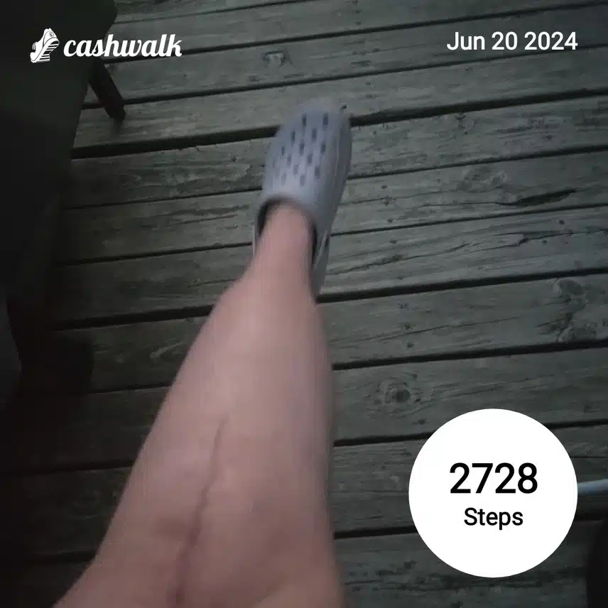 CashWalk_share_capture_20240620_4221f2c4-59c7-4548-80ec-5e8e0582