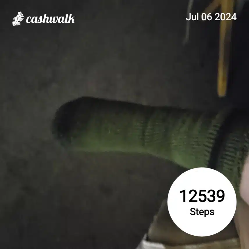 CashWalk_share_capture_20240706_0eebb914-faac-467e-9a18-879b4138