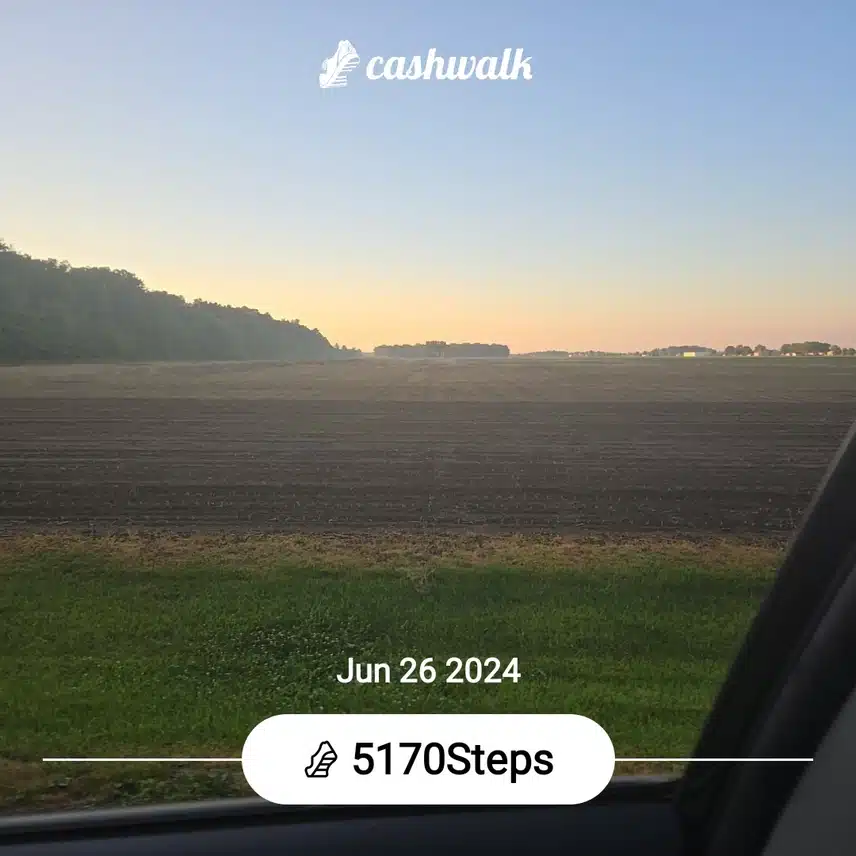 CashWalk_share_capture_20240626_f5d7a150-5e9e-4e59-8152-89638816