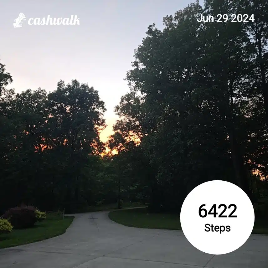 CashWalk_share_capture_20240629_3fb5394f-bd28-4023-92f5-e2651890