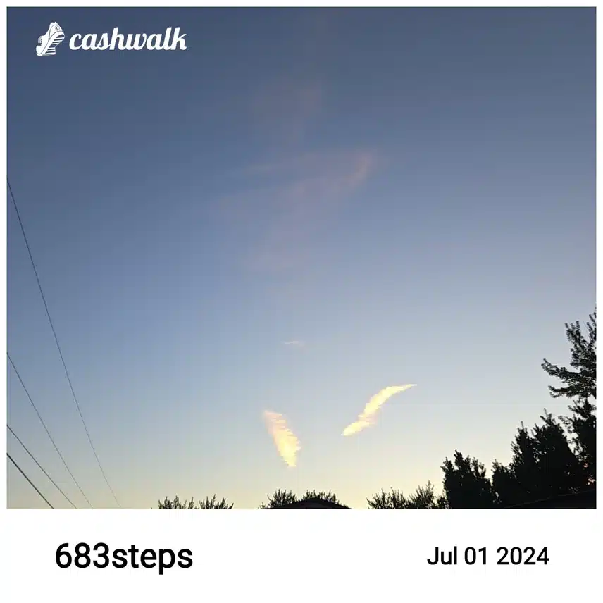 CashWalk_share_capture_20240701_31d9aeec-0cea-452a-a1a1-b3b893c0