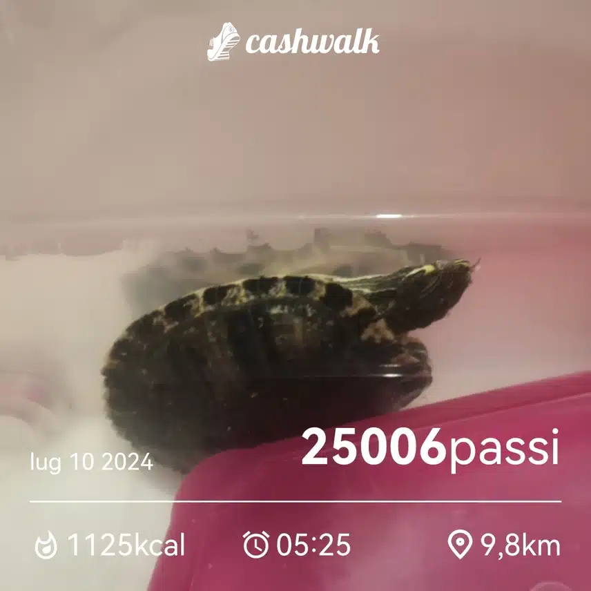 CashWalk_share_capture_20240710_854d1af6-e949-459f-9931-735f3518