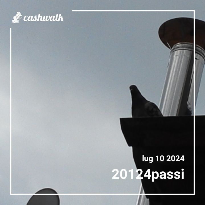 CashWalk_share_capture_20240710_5f6be586-5a42-4980-b87b-d41271d6