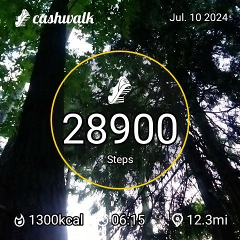 CashWalk_share_capture_20240710_77de8da3-3b7c-48d8-a248-fa042fb2
