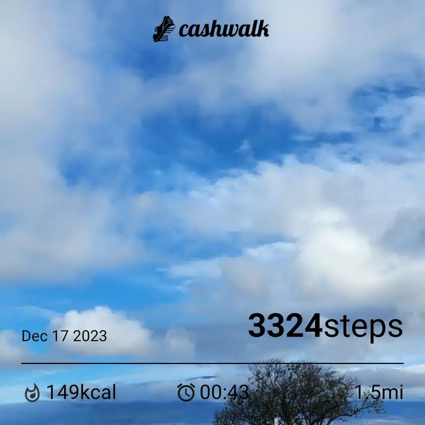 1000001685.jpg_resize