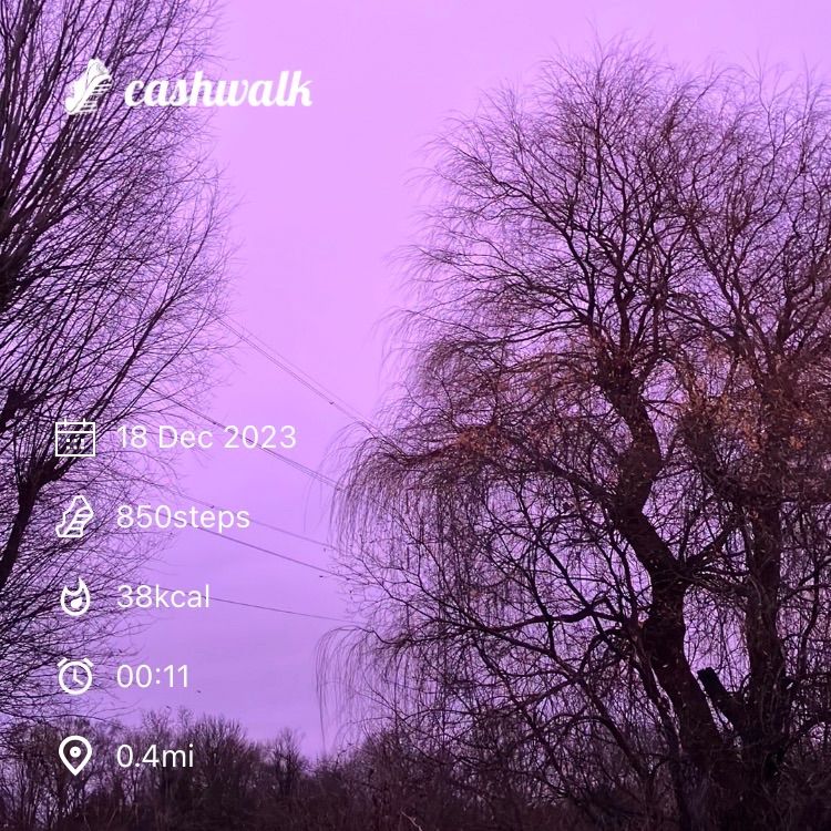 IMG_6444.jpeg_resize