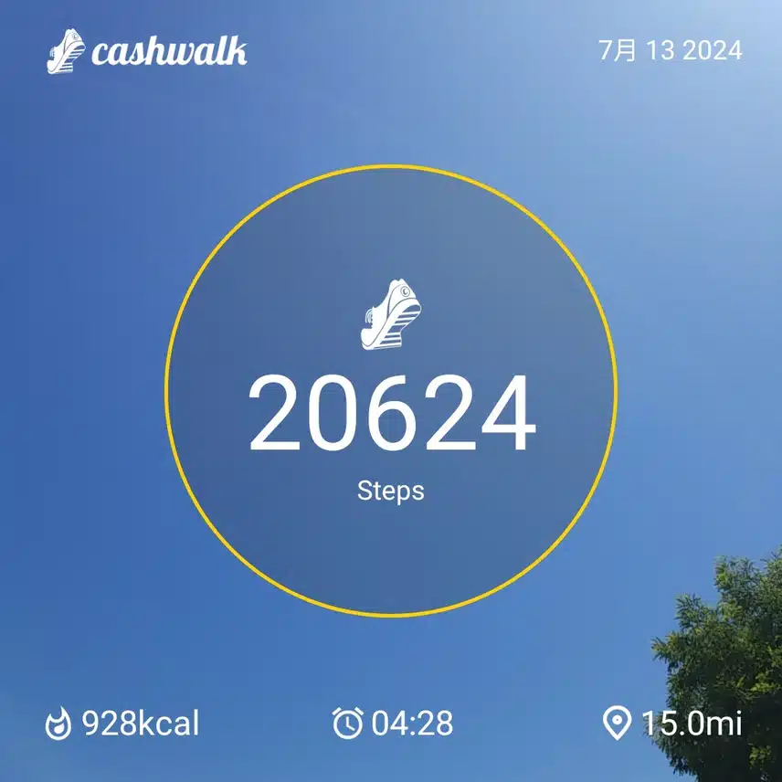 CashWalk_share_capture_20240713_d61803d4-8e3b-4a23-b54a-2e6428e2