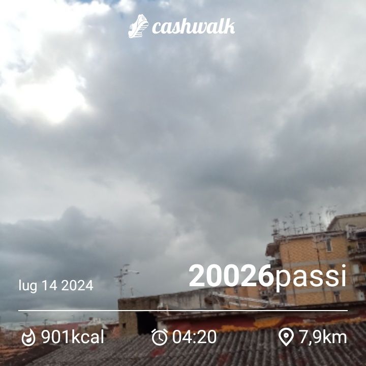 CashWalk_share_capture_20240714_346a6505-31cf-4064-81ea-c9a2fafe