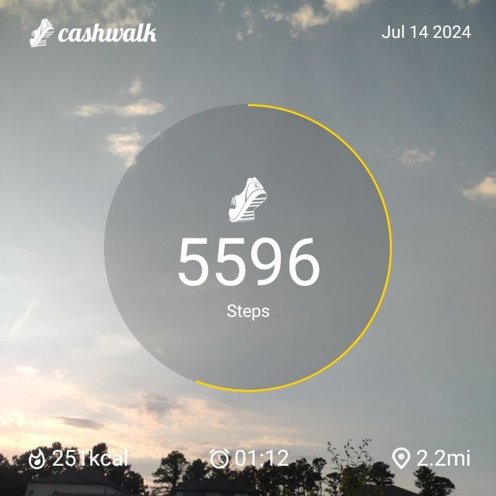 1000009511.jpg_resize