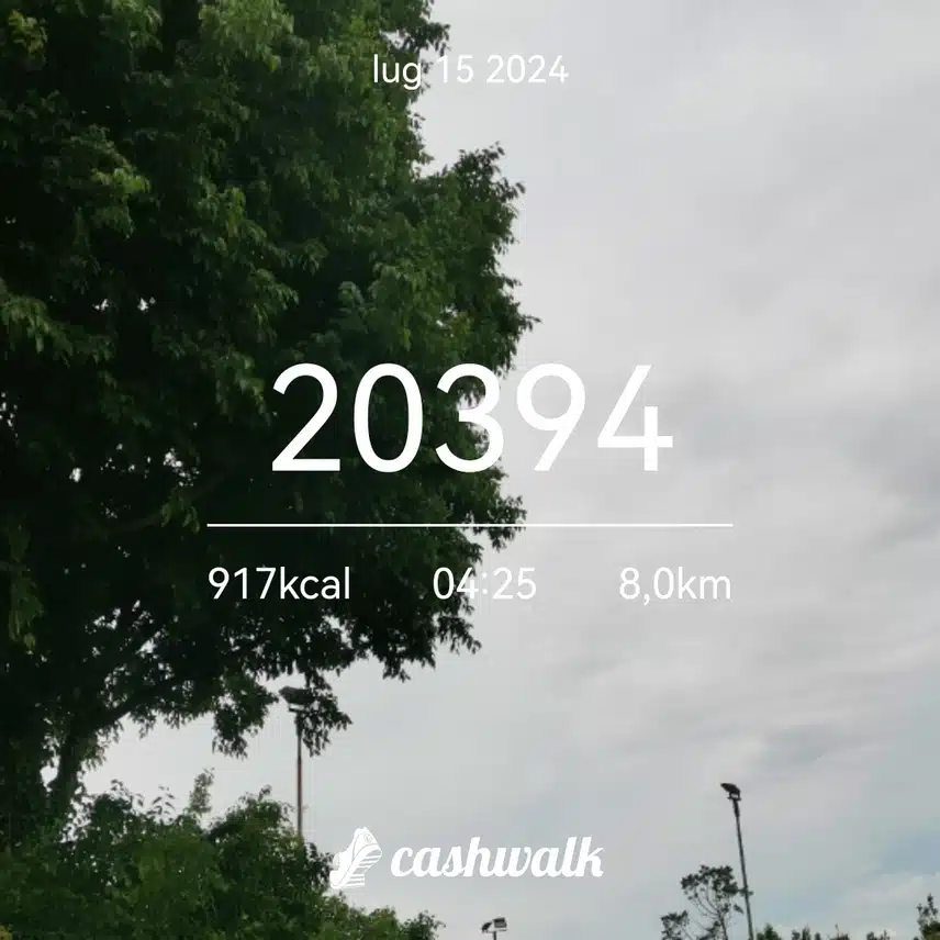CashWalk_share_capture_20240715_971d678f-e017-48ff-a50d-4a9208a2
