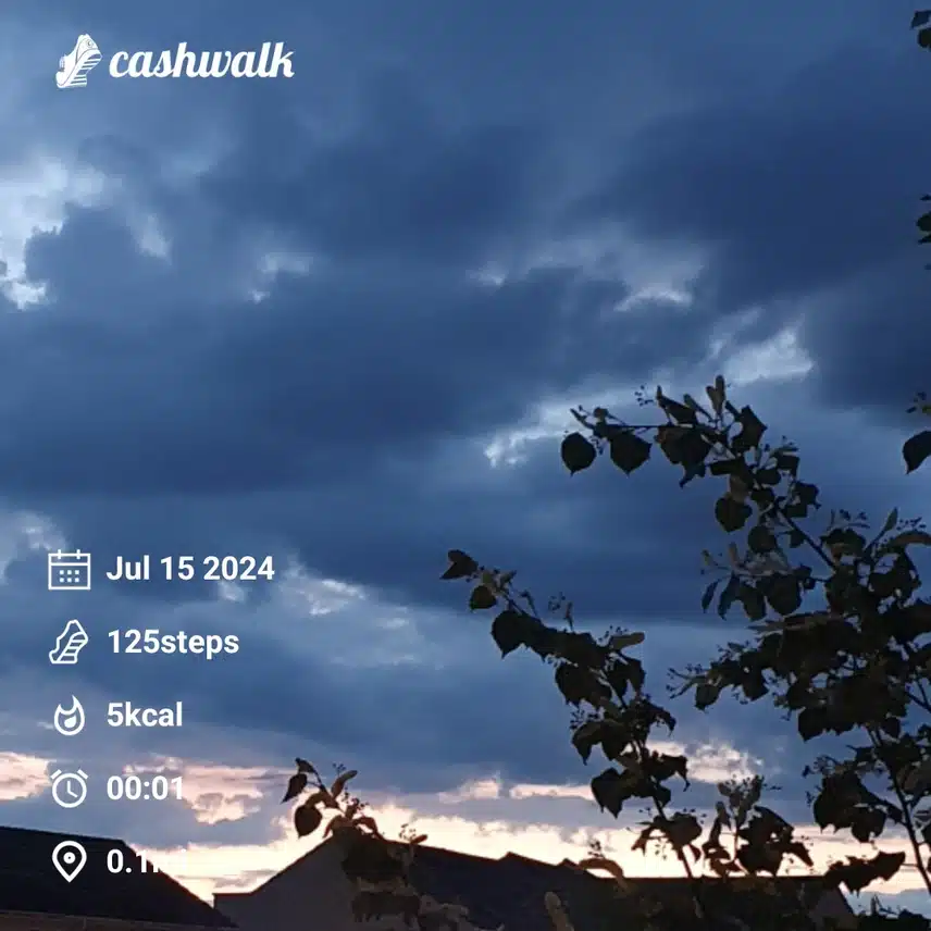 CashWalk_share_capture_20240715_e22fa170-9f98-4ed1-a355-3170eee9