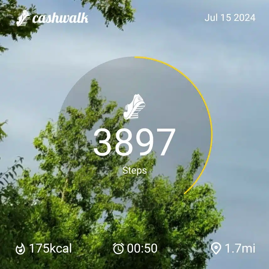 CashWalk_share_capture_20240715_96876505-1e11-4c97-bd6b-e8b63d11
