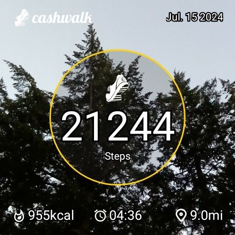 CashWalk_share_capture_20240715_df42e7fe-fe84-4111-9a52-e7a3835c