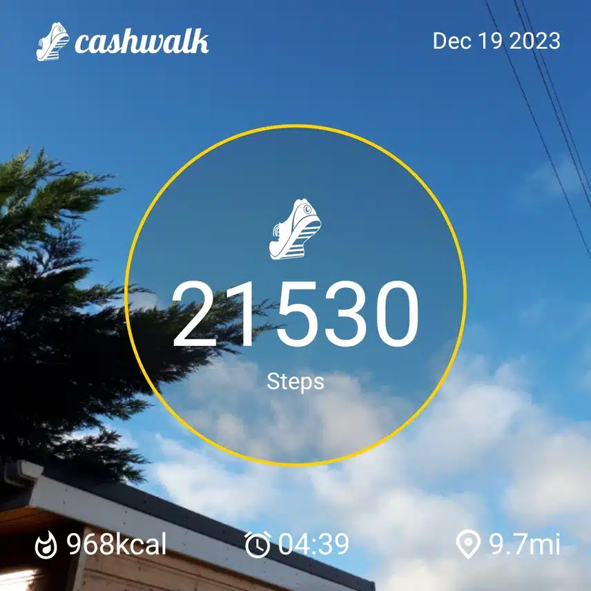 CashWalk_share_capture_20231219_98f3e01b-14c3-4fa5-bd53-a5ef8fb3