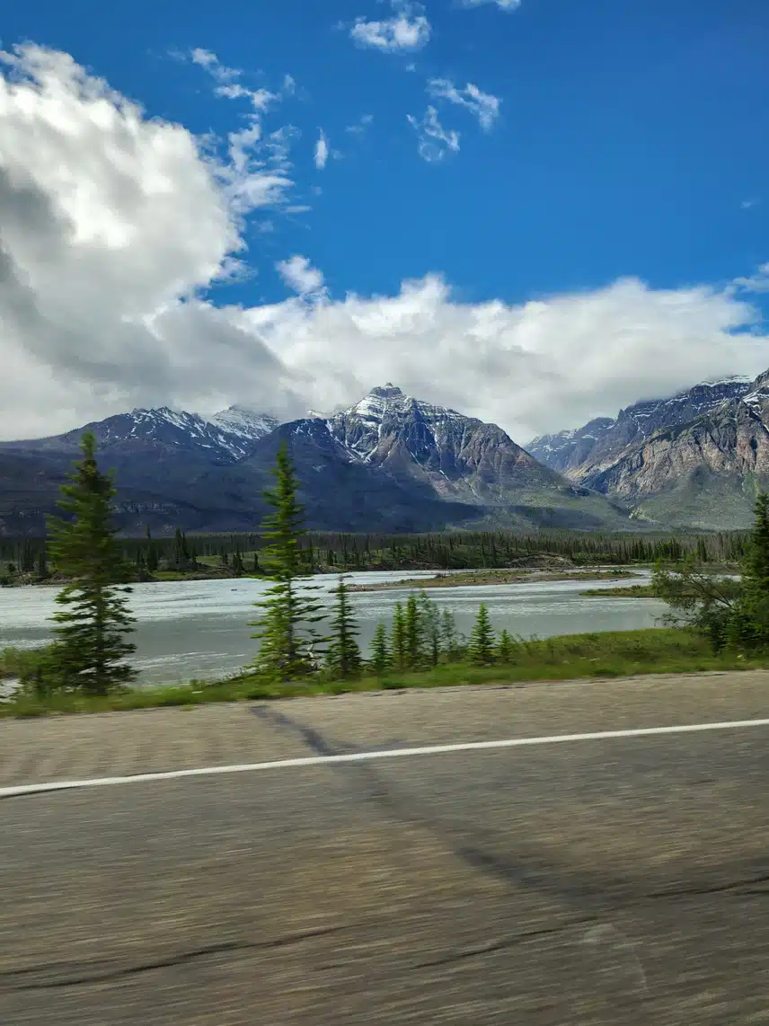1000007136.jpg_resize