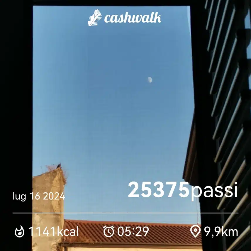 CashWalk_share_capture_20240716_40e158cf-60f5-451e-852d-2bcd656c