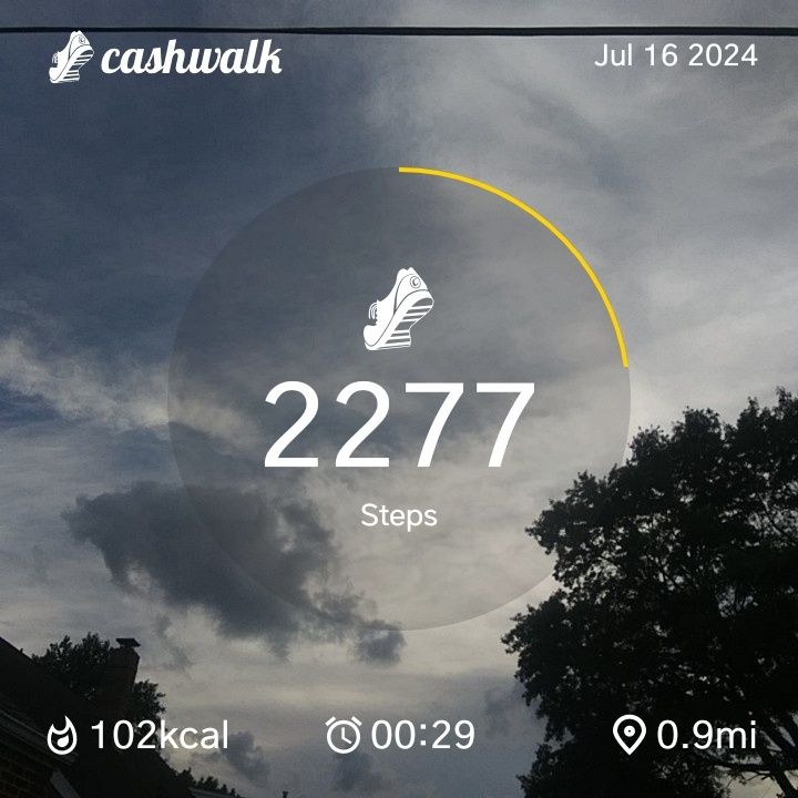 CashWalk_share_capture_20240716_dd06a3a1-a5a2-4477-b381-609001d0